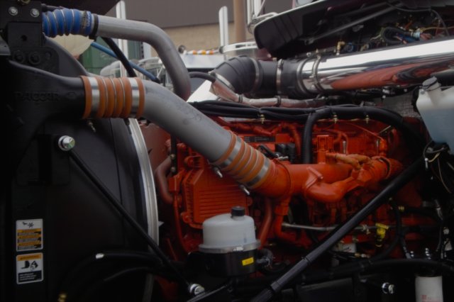e14.jpg