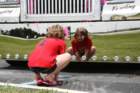 img_5371_small.jpg